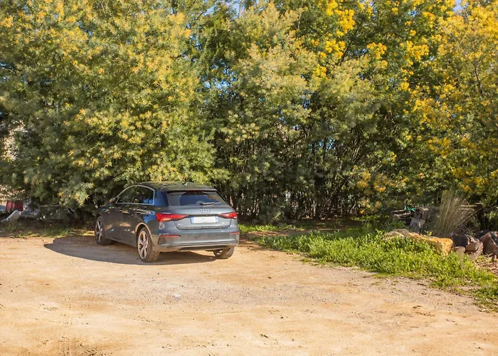 Cosy - Du Soleil Διαμέρισμα *