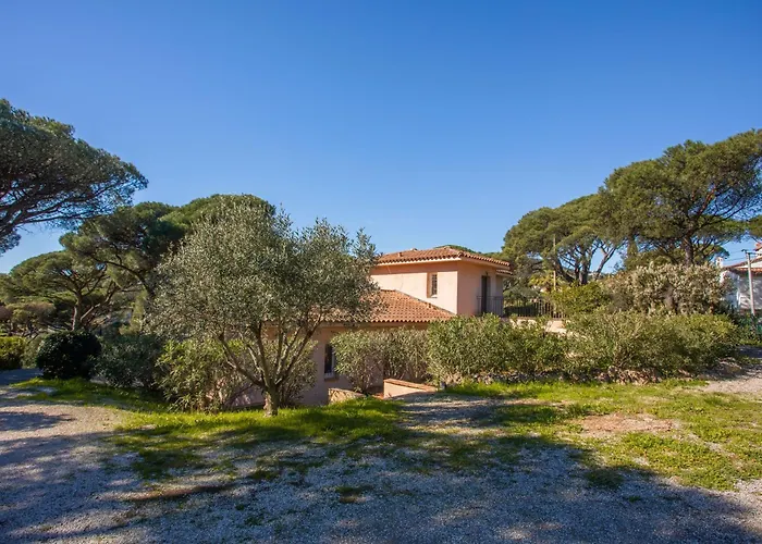 Cosy - Du Soleil * 생트막시메